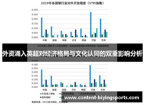 外资涌入英超对经济格局与文化认同的双重影响分析