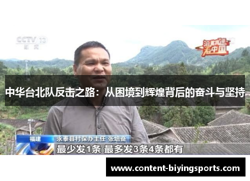 中华台北队反击之路：从困境到辉煌背后的奋斗与坚持