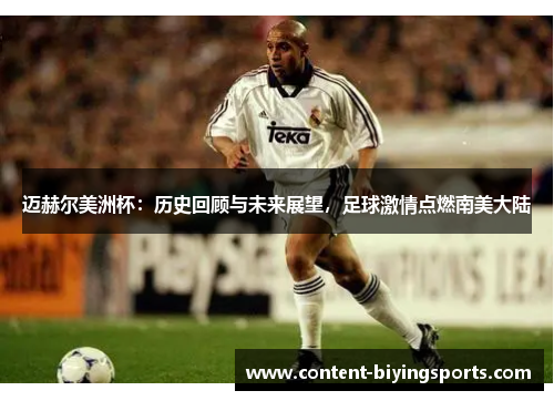 迈赫尔美洲杯:历史回顾与未来展望,足球激情点燃南美大陆 迈赫尔美洲杯:历史回顾与未来展望,足球激情点燃南美大陆