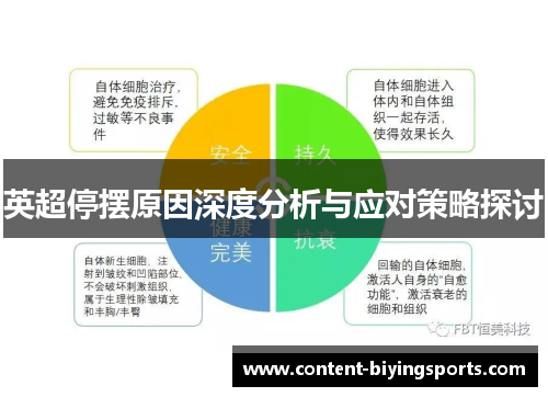 英超停摆原因深度分析与应对策略探讨 英超停摆原因深度分析与应对策略探讨