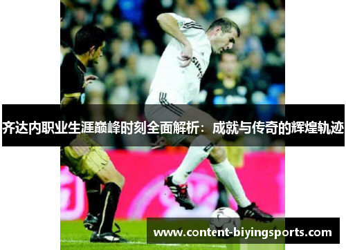 齐达内职业生涯巅峰时刻全面解析：成就与传奇的辉煌轨迹